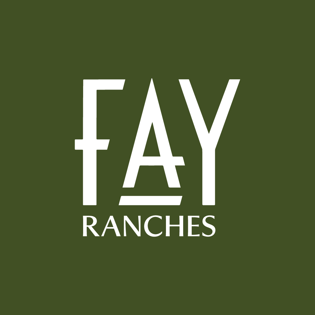 Agent profile picture