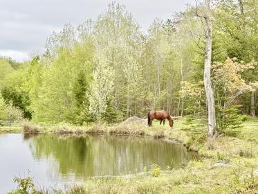 Property image.