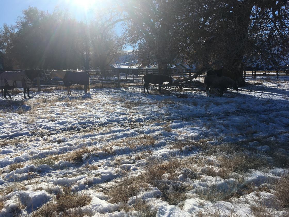 645 Acre Farm & Horse Property - photo 18