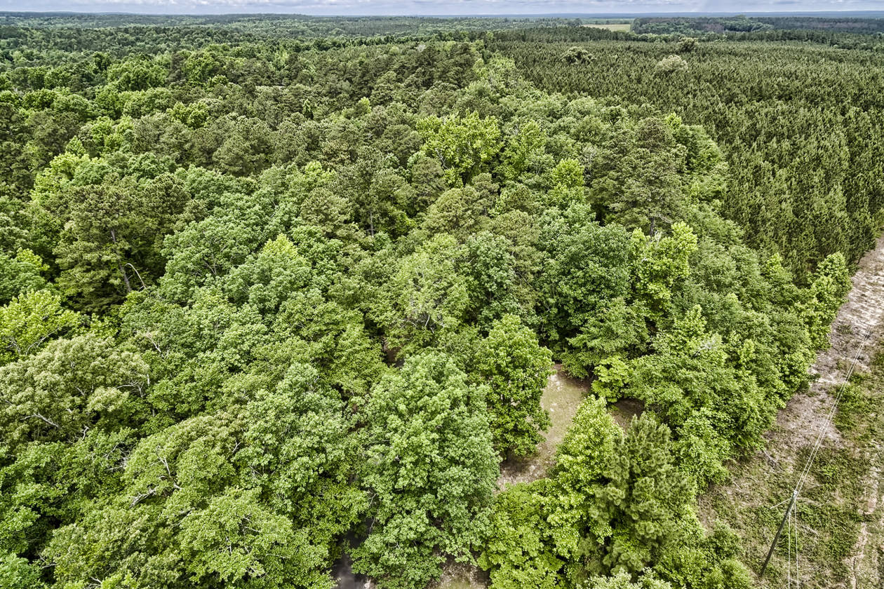 Historic Fort Motte SC Foxhill Farm Fort Motte, Calhoun County