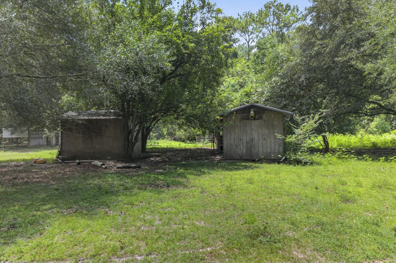 10-acre agricultural property - photo 10