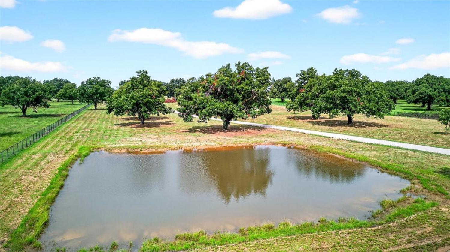11 Acres of Pecan Trees - photo 9