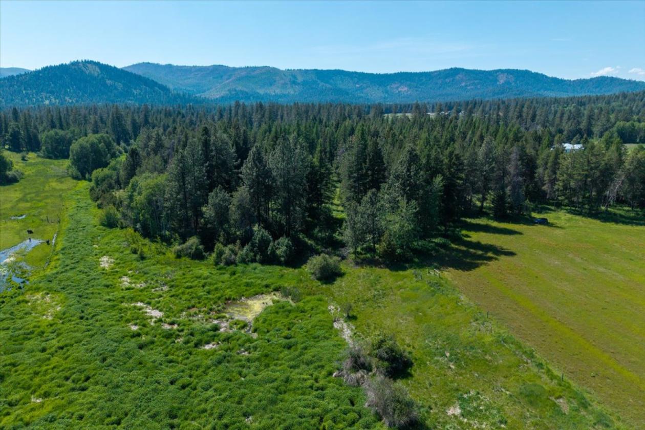 26 Level Acres with Nice Views! - photo 9
