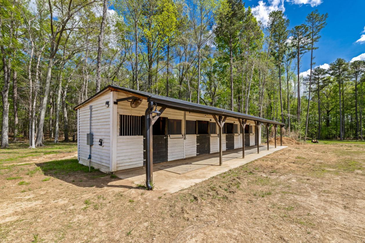 Luxury Farmette with 4 Stall Horse Barn & Arena - photo 14