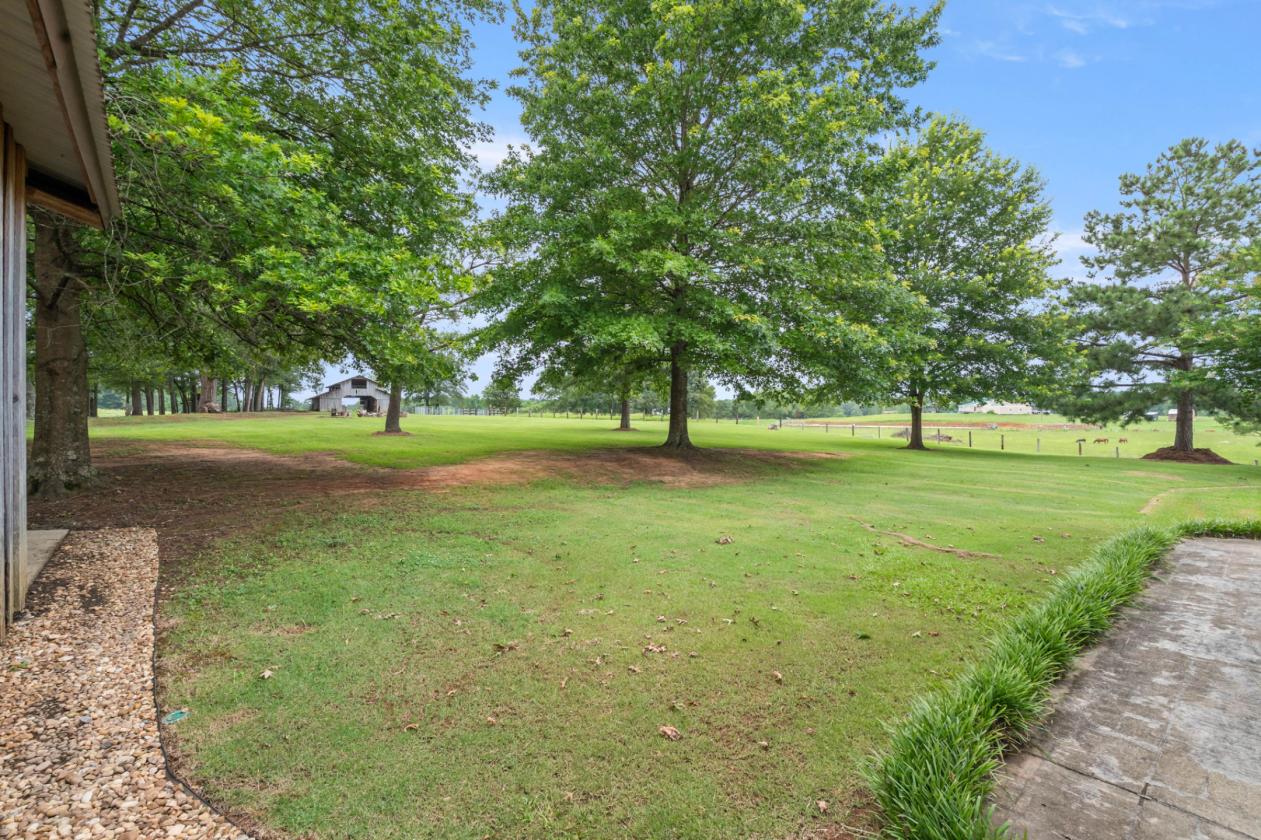 14 Acre Horse Farm! 1 Level Home - photo 20