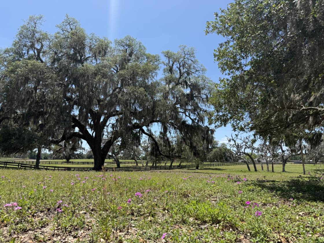 Tiffany Farm - 108 Acres - photo 23
