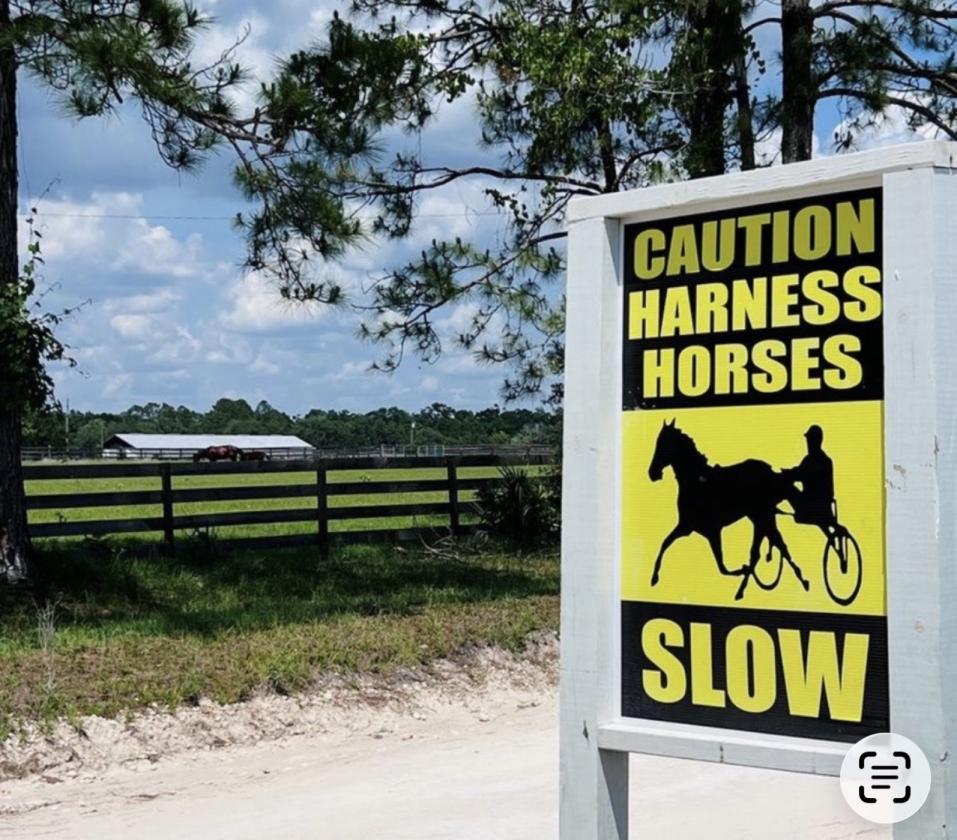 10 Acre Horse Facility/Harness Racing Community - photo 26