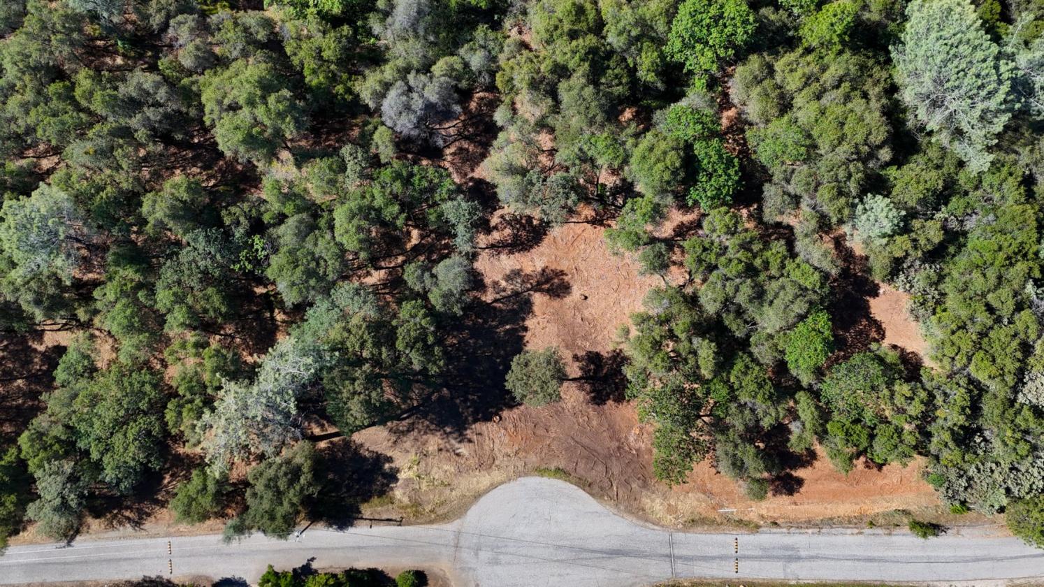 Your 5 Acre Sanctuary in Equestrian Community - photo 2