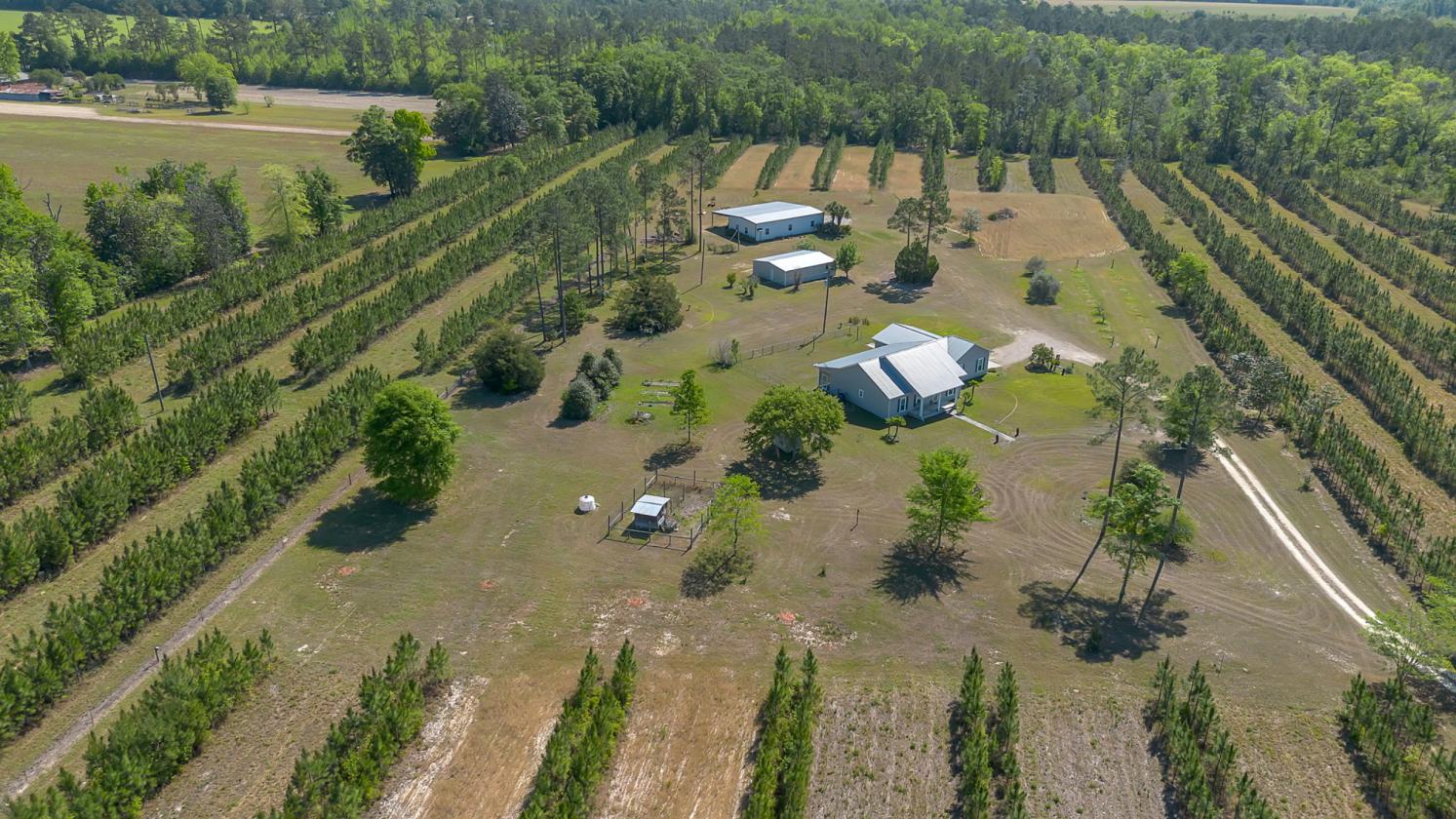 Horse property with gorgeous views - photo 13