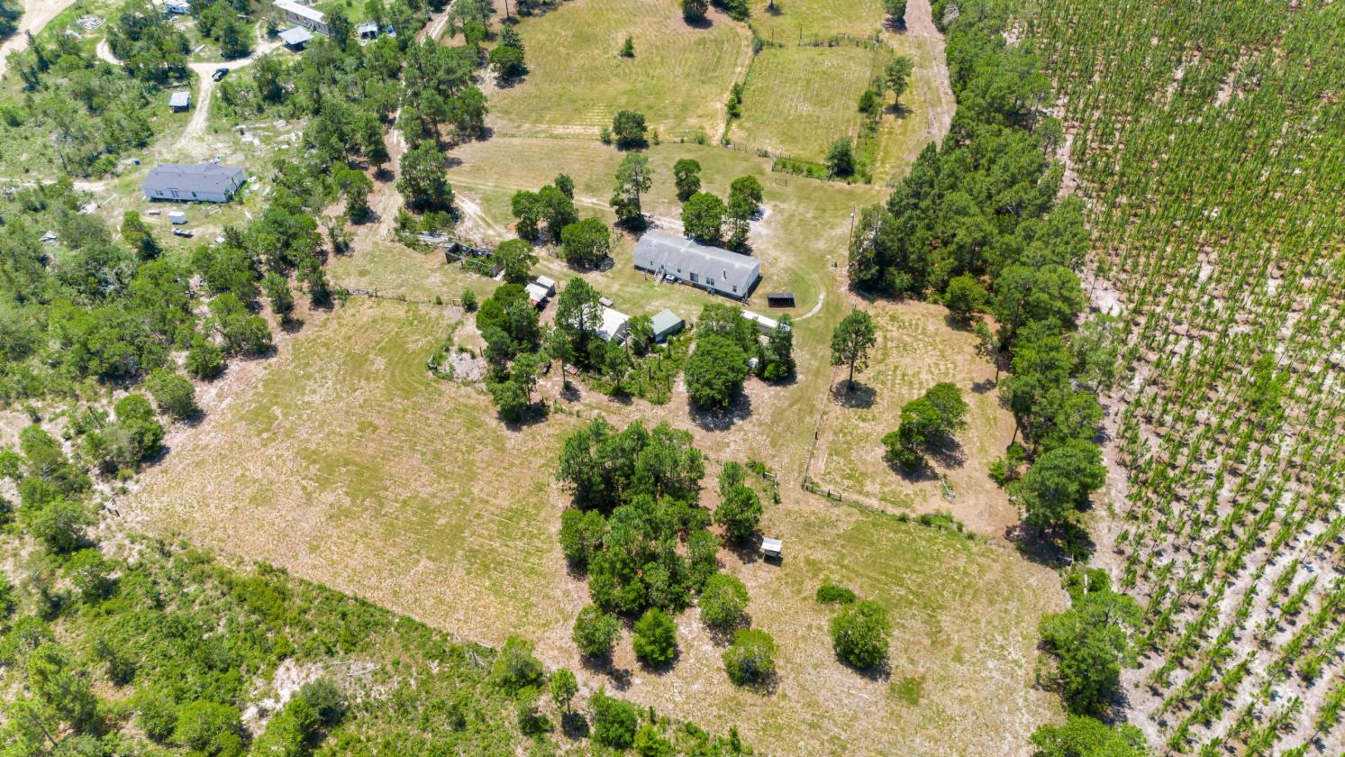 21.65 flat acres with large home and paddocks - photo 2
