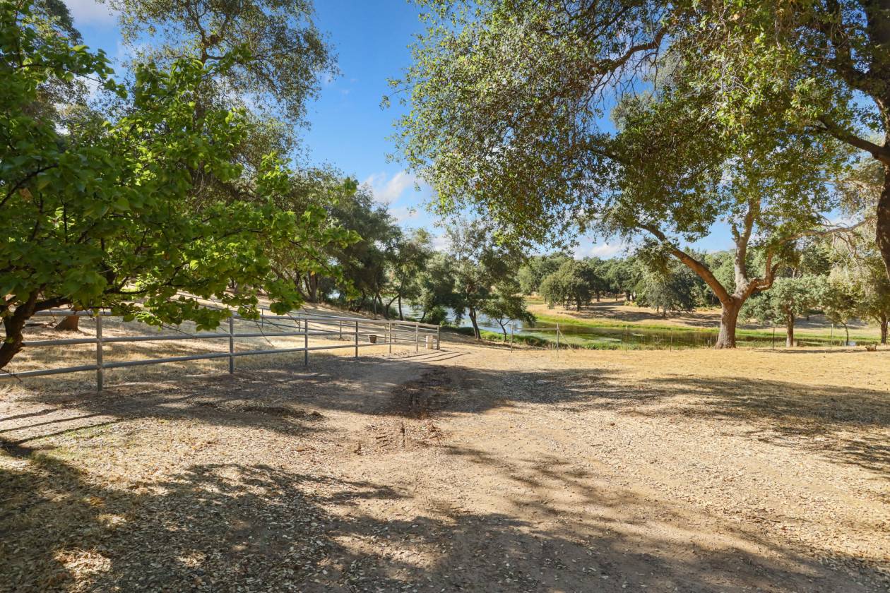 Estate with 7 pastures, 2 homes, lake, Vineyard - photo 28