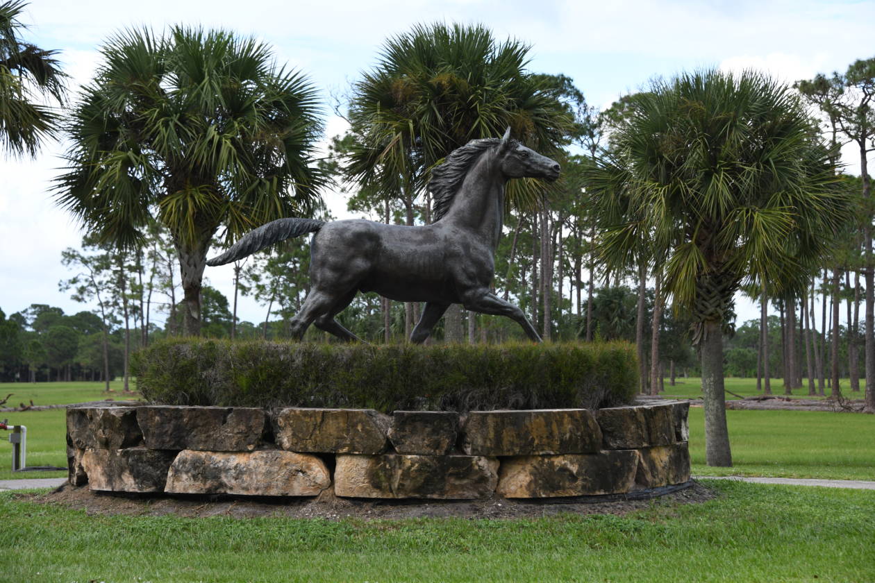 Horse Farm for sale Okeechobee, Okeechobee County, Florida