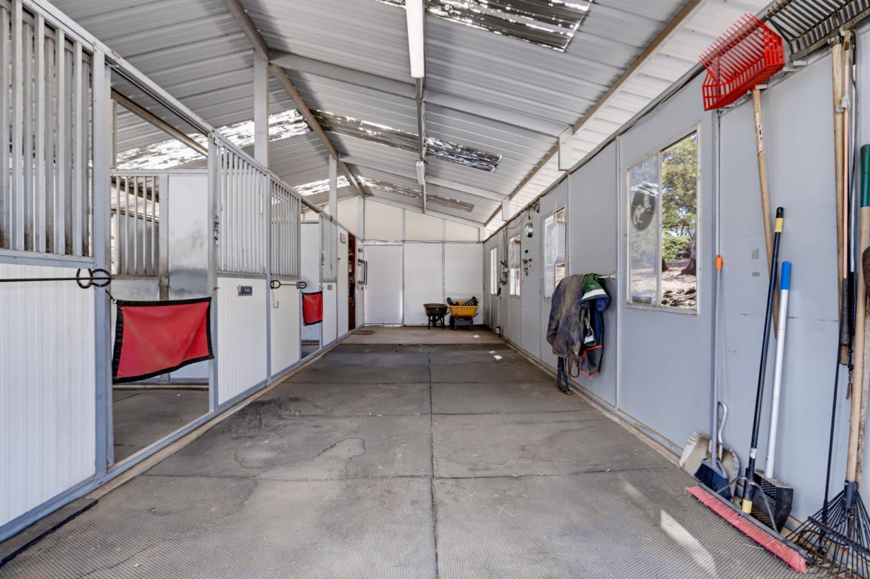 Equestrian Ready in Grass Valley / Penn Valley - photo 6