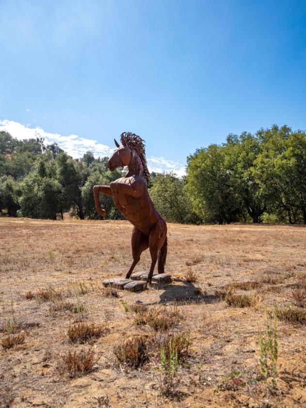 Meadow Ranch - photo 8