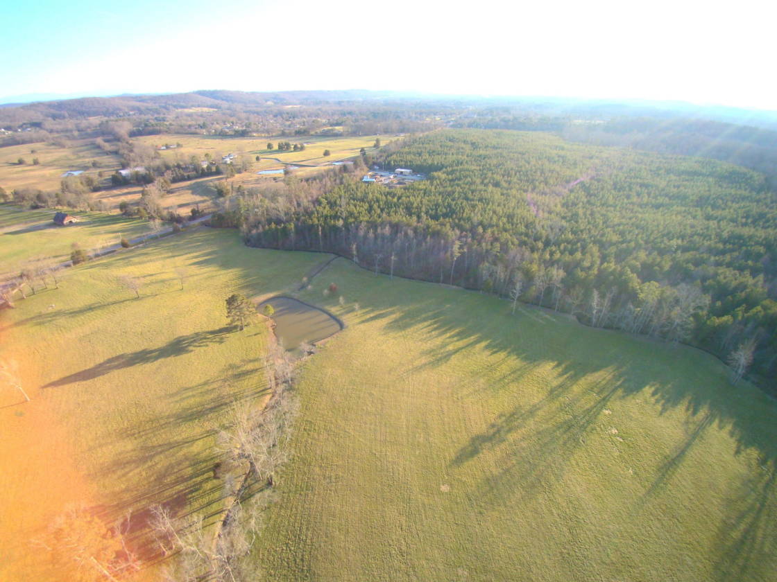 84 Acre Gated Horse farm Cleveland, Bradley County, Tennessee Horse