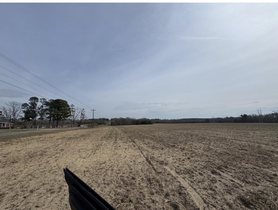 +/- 71 acres of RURAL LAND 20 minutes from Aiken - photo 3