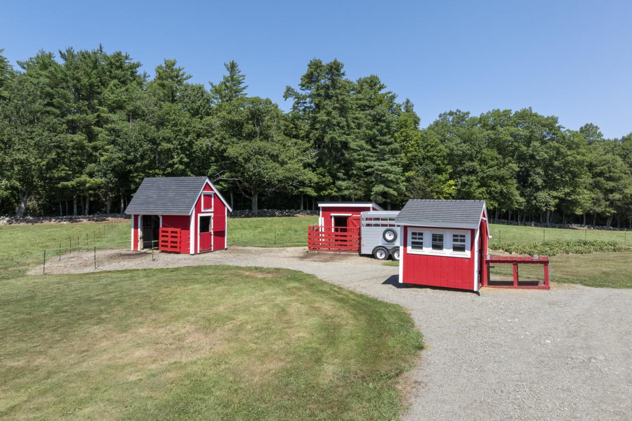 34 Acre Farm Opportunity in Midcoast - photo 28
