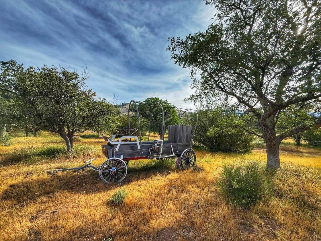 Exquisite 23.6 Acre Equestrian Estate - photo 24