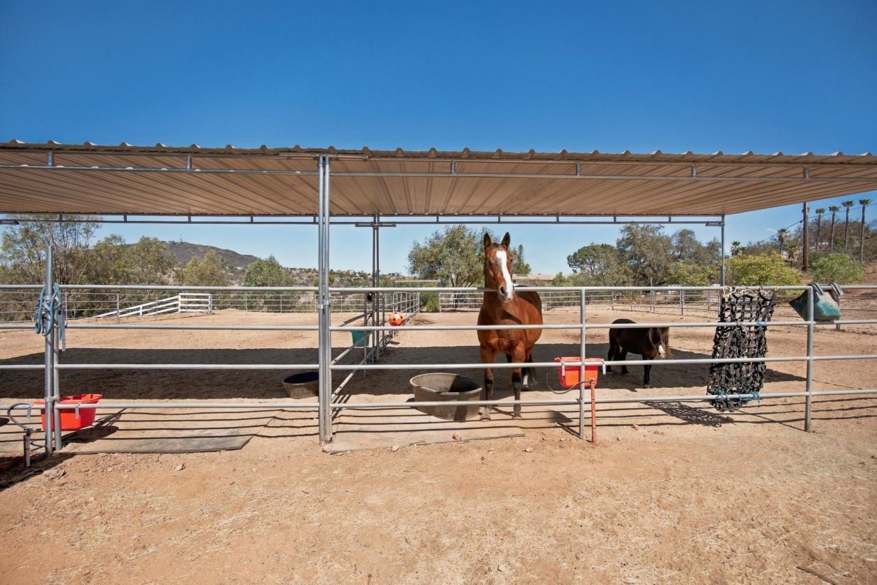 Modern Equestrian Living on 2.18 Acres - photo 25