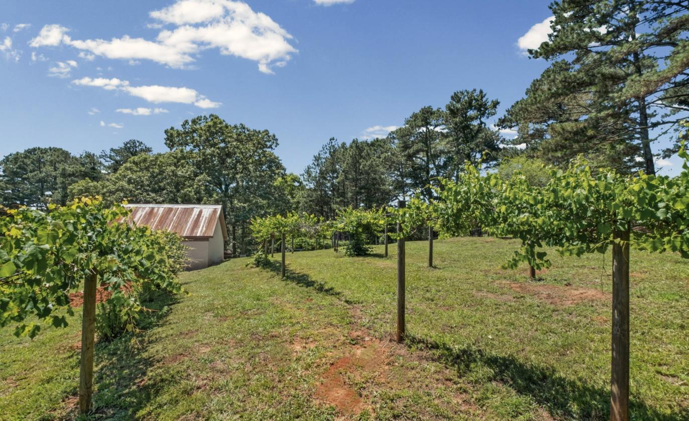 Country Estate, Minutes from Downtown - photo 22