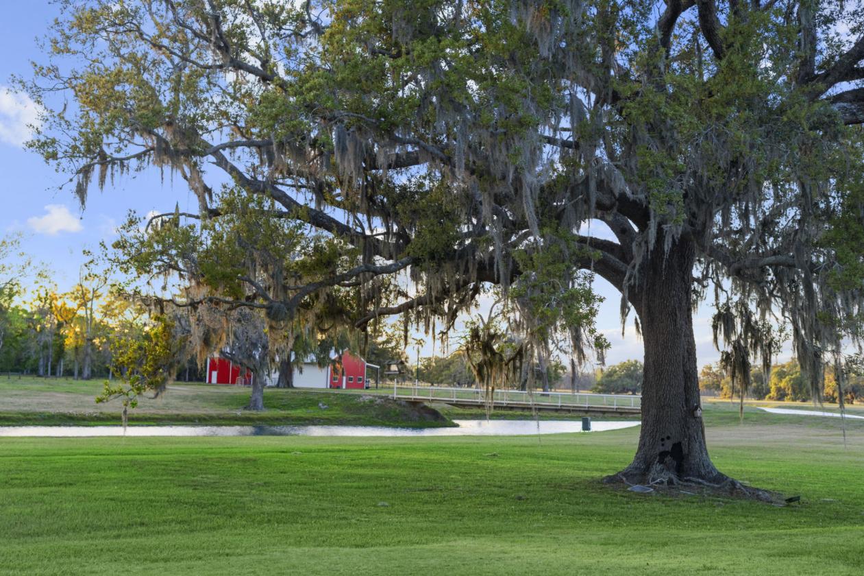 621 Acres of Texas Luxury - photo 29