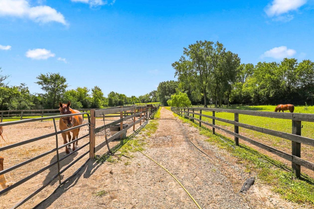 Established Equestrian Estate on 10 Acres - photo 16