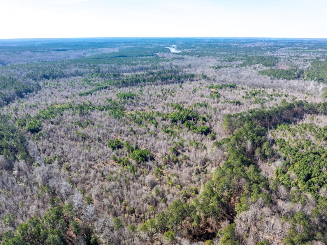 211 Acres- Luxury Estate & Equestrian Development - photo 27