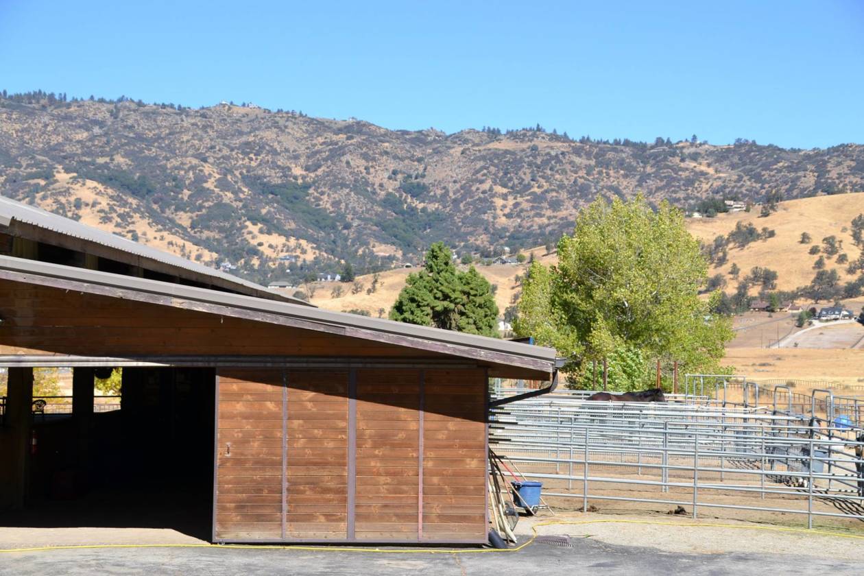 The Ultimate Horse Facility in Exclusive Bear Valley Springs, CA Bear