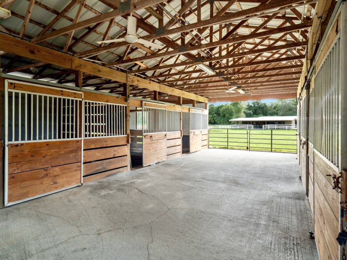 Buckingham Horse Farm Fort Myers, Lee County, Florida