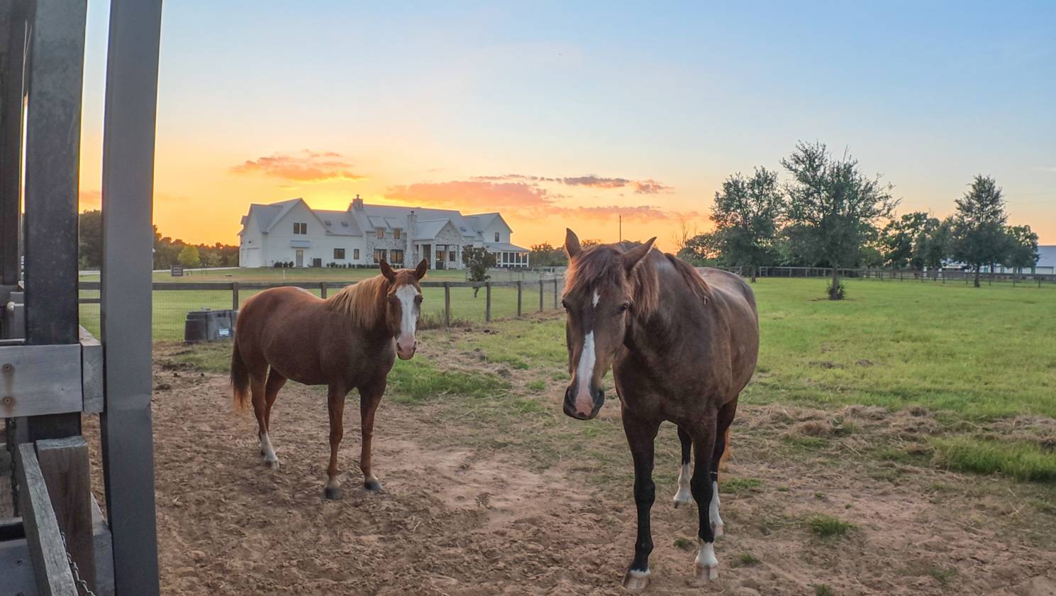 Horse Property for sale.