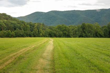 Property image.