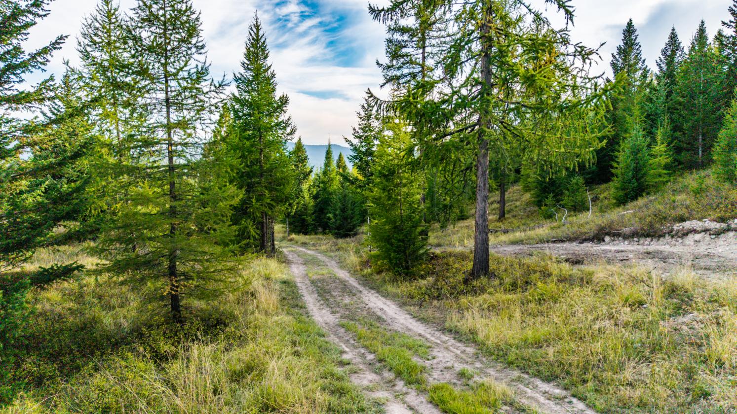350 Acres & Private Access to MT Forest Service - photo 26