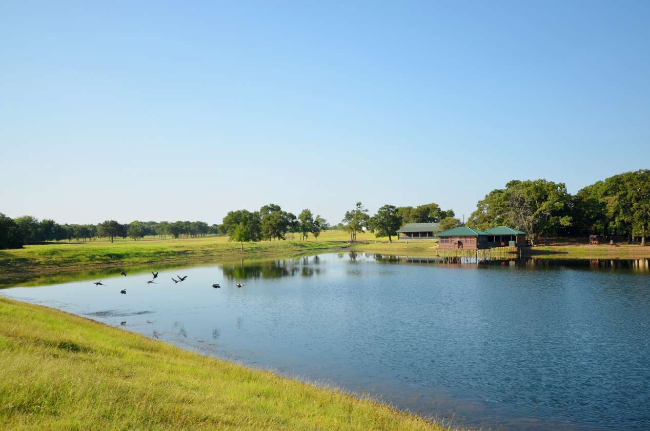 Unveiling The Hidden Gem Of Wills Point, Texas: A Town Steeped In Charm ...