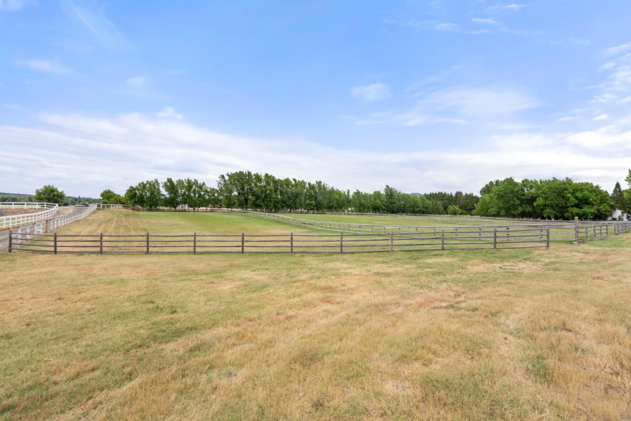Roguemere Ranch River Equine Elegance - photo 6