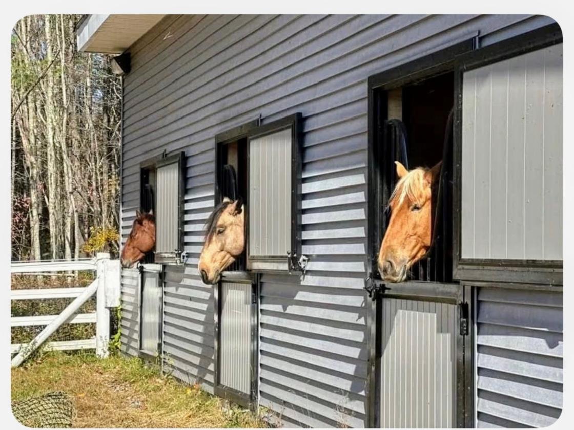 Chatto Stables- Lovely Horse Property in So. NH - photo 26