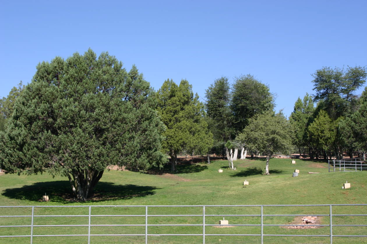 Perfect AZ Equestrian Property backing Tonto National Forest with lots... Star Valley, Gila