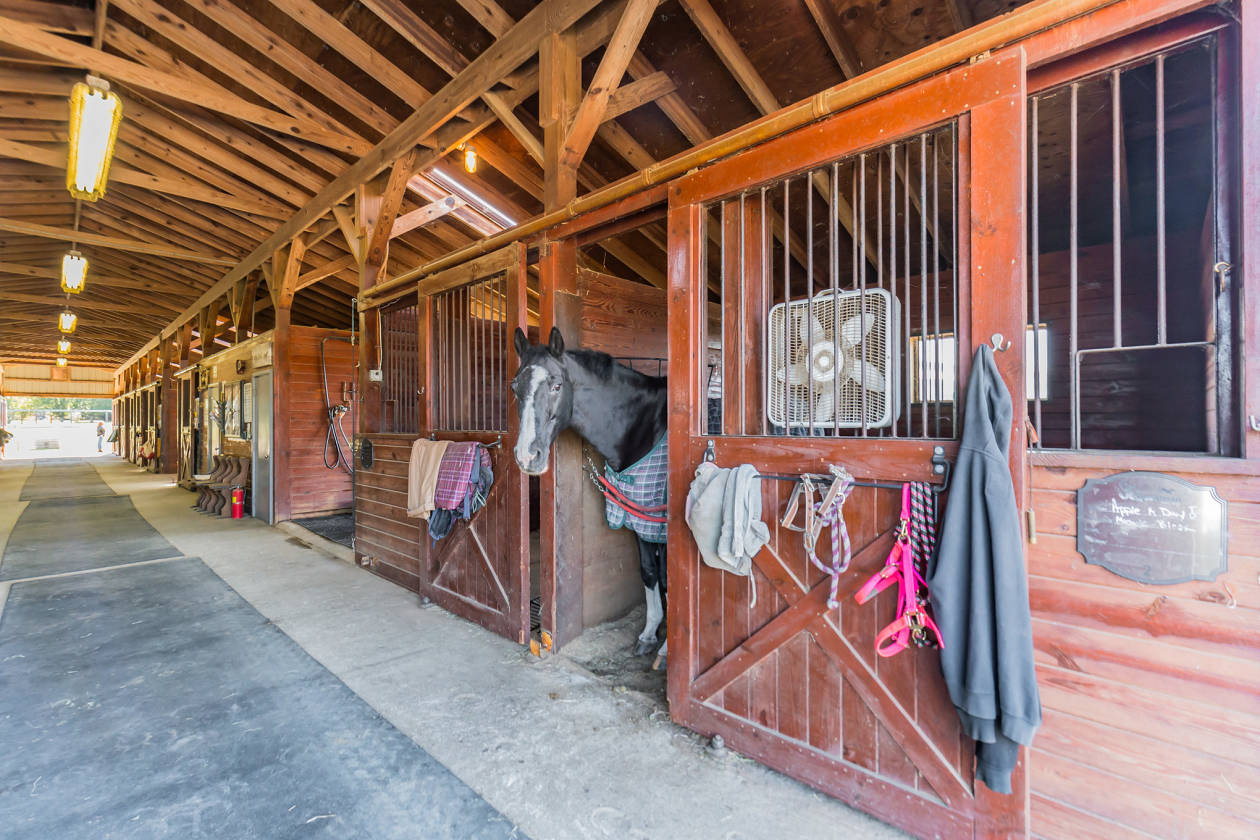 Premier Equestrian Hunter/Jumper Training and Boarding Facility Farm
