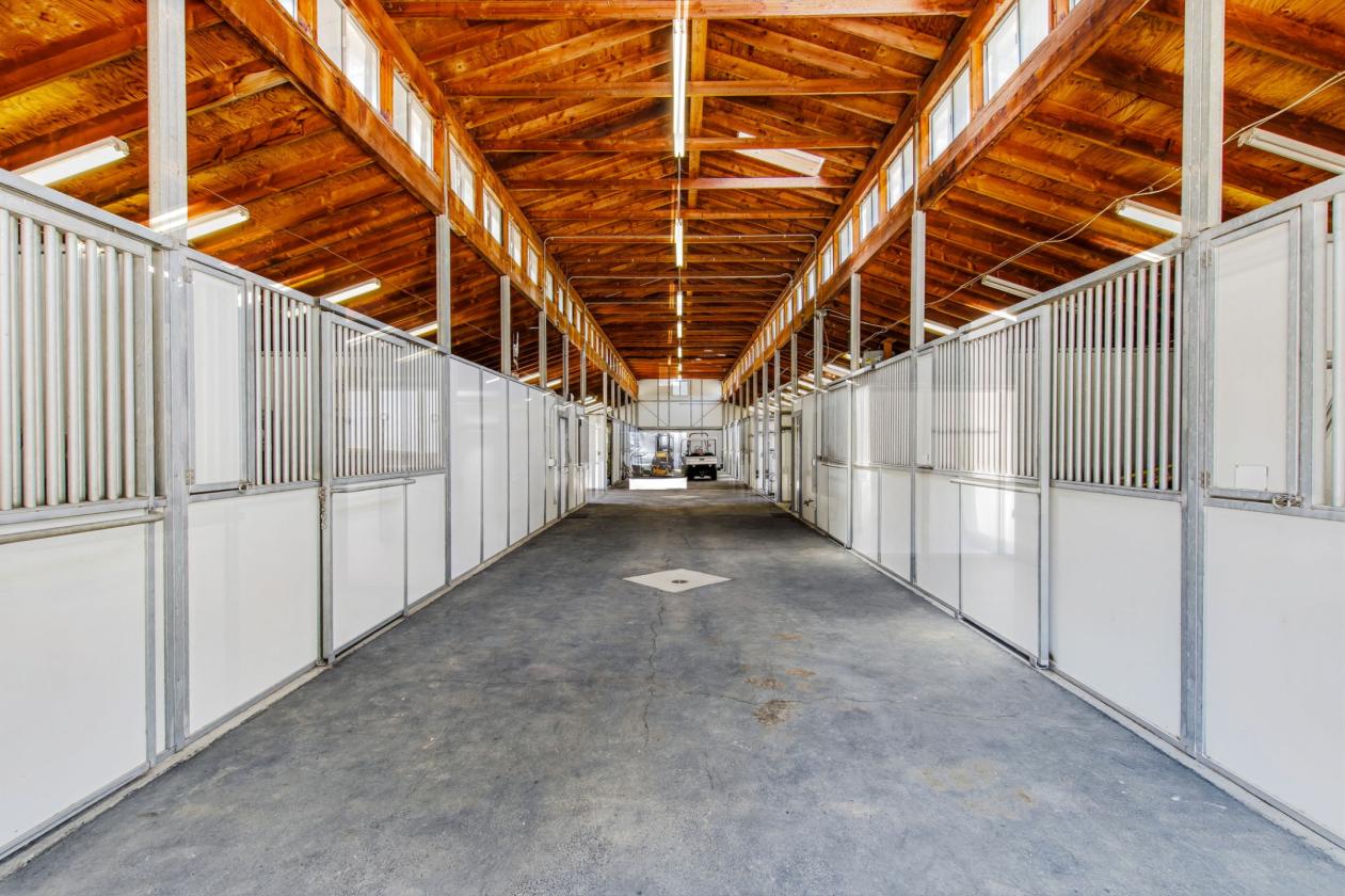 12-Stall Luxury Equestrian Estate - photo 16