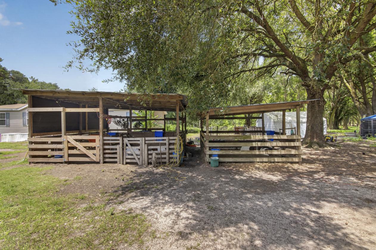 10-acre agricultural property - photo 15