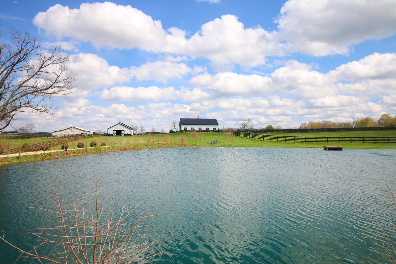 TurnKey Horse Farm in the Heart of the Bluegrass! Paris, Bourbon