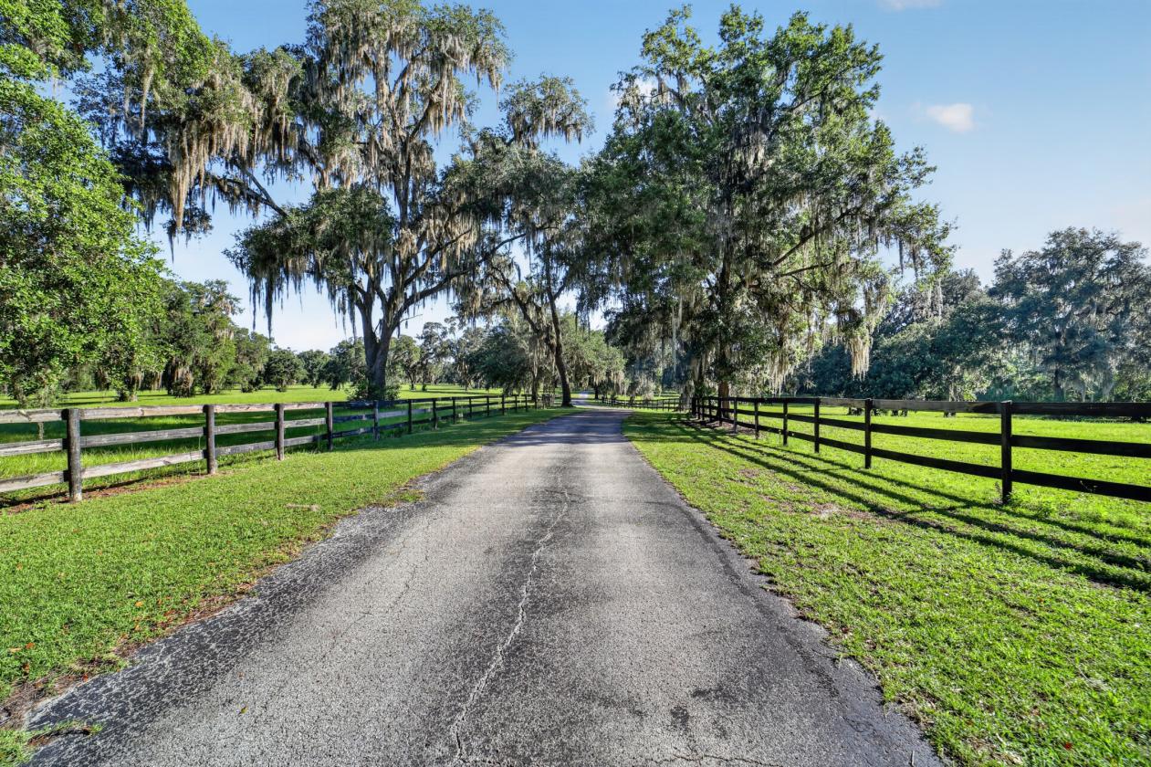 Luxury Living. Equestrian Excellence. - photo 4