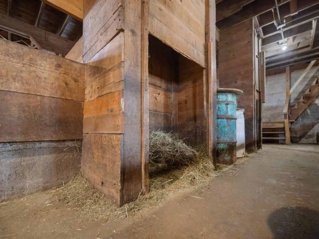 Unique Country Craftsman-Huge Barns-14+ Acres - photo 23