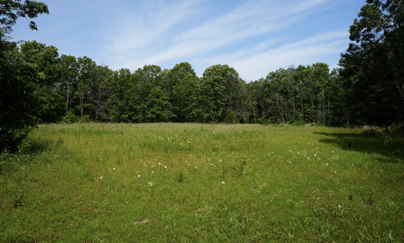 Stunning 313± Acre Double D Ranch - photo 27