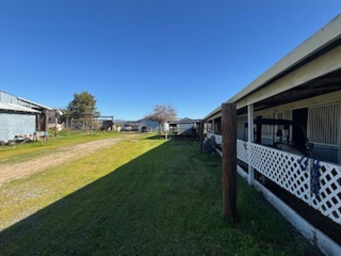 Exceptional Equestrian Breeding &Boarding Facility - photo 15
