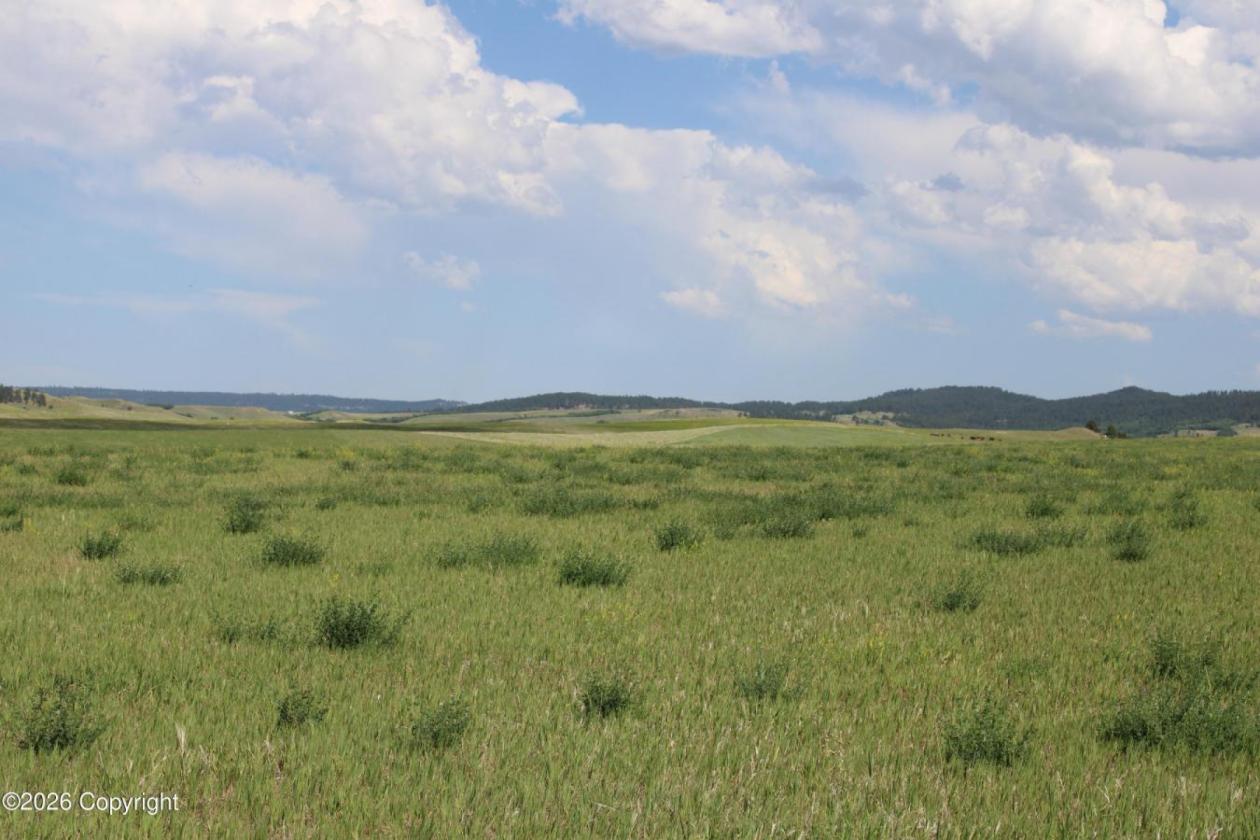 Tract 14 Belle River Ranch- NO Covenants -35+ Acre - photo 17