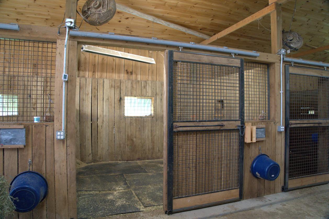 Boutique Farm in the Heart of the Bluegrass - photo 4