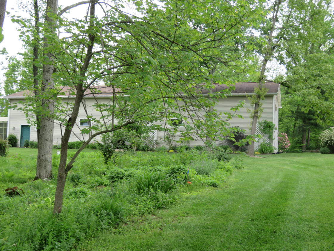 Beautiful Country Home on 12+ Acres near Atwood Lake! Horse