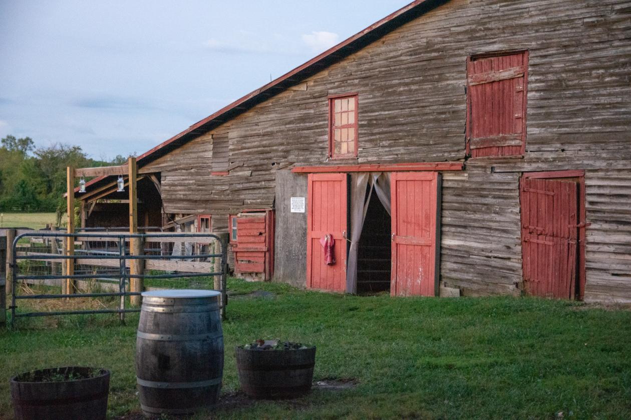 100 Acre Equestrian Estate with Infrastructure - photo 4