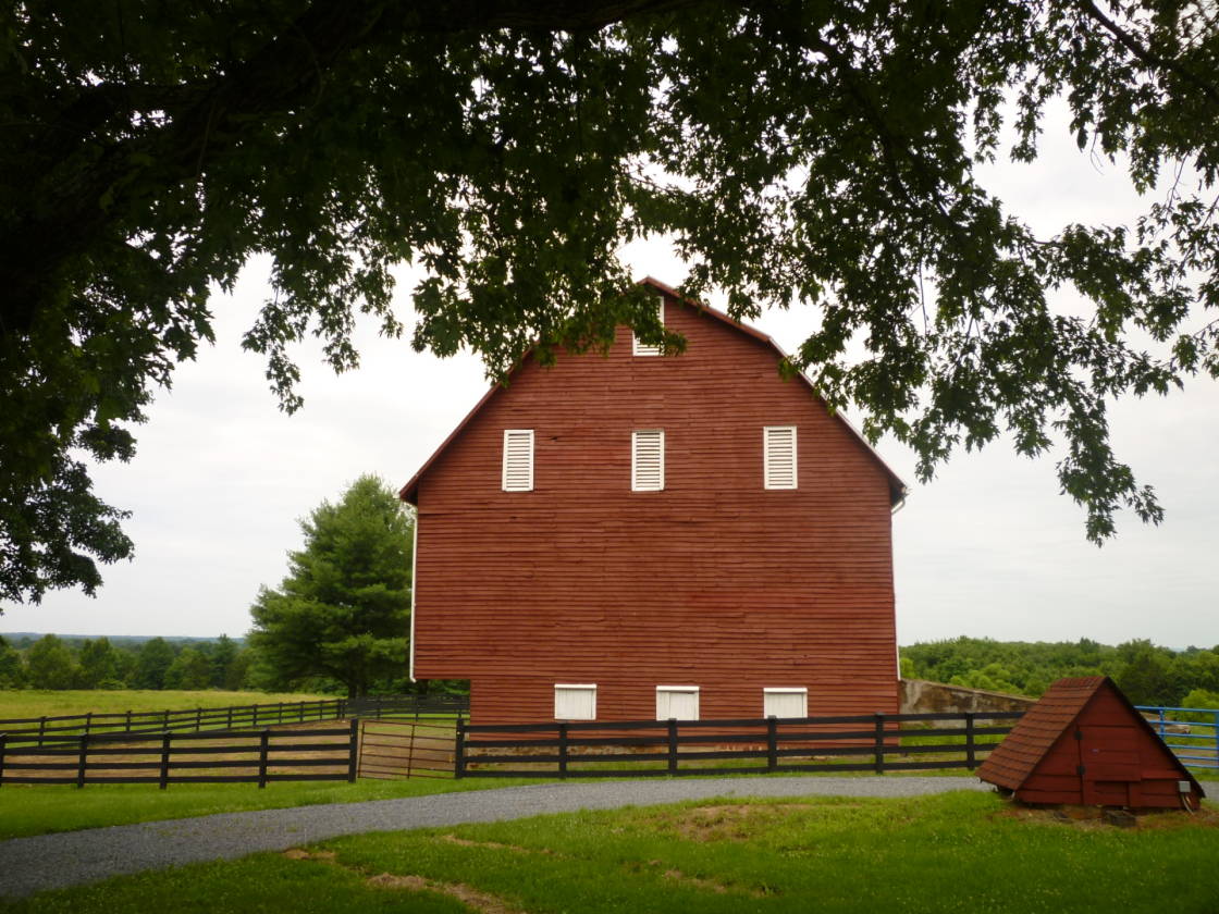 Horse Farm Ahoskie, Hertford County, North Carolina
