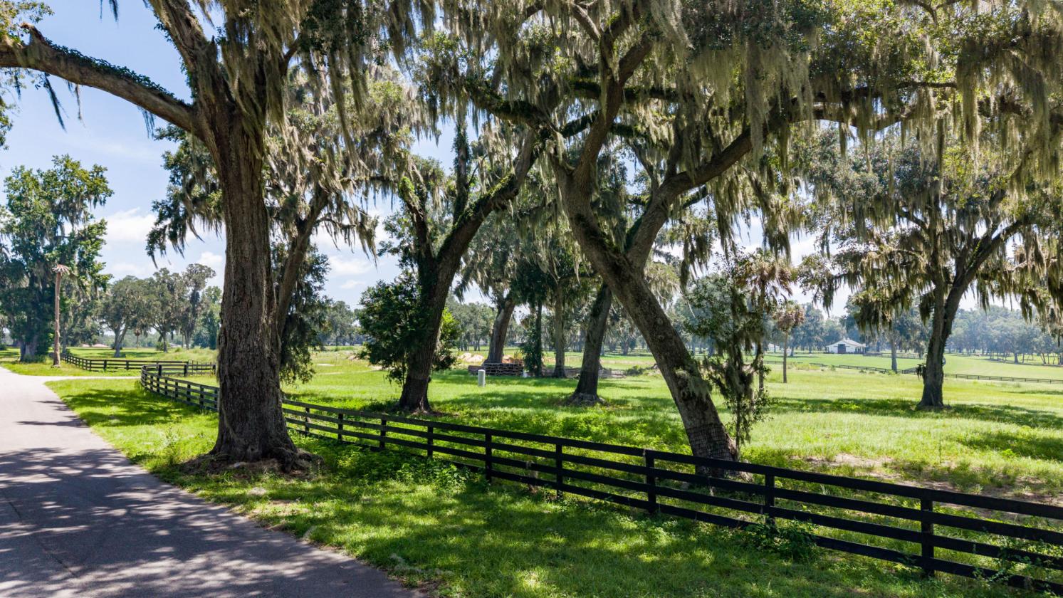 Equestrian home site with incredible view - photo 14
